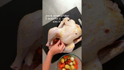 Pavo Navideño de Fiesta