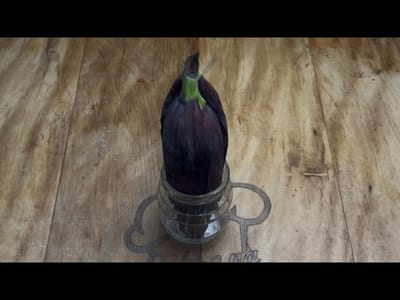 Conserva de Flor de Banana aprender com índia de 90 anos