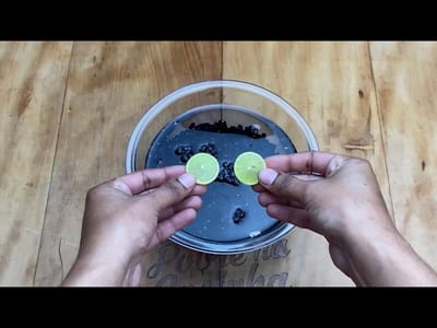 Tip Chino para Cocinar Frijol Suavecito