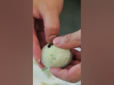 Huevo Centenario (Pidan)