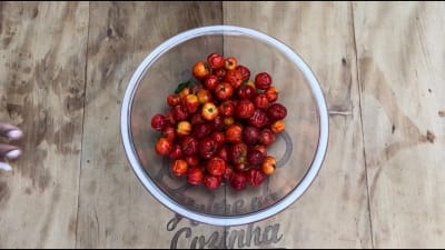Refresco Casero de Acerola Fermentado